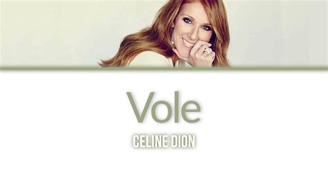 chanson vole celine dion paroles|céline dion avec paroles.